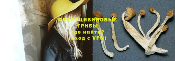 первитин Нея