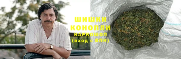 ГАЛЛЮЦИНОГЕННЫЕ ГРИБЫ Нефтегорск