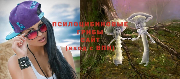ГАЛЛЮЦИНОГЕННЫЕ ГРИБЫ Нефтегорск