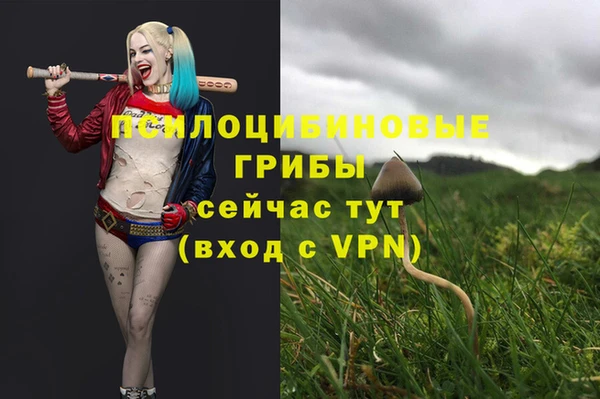 ГАЛЛЮЦИНОГЕННЫЕ ГРИБЫ Нефтегорск